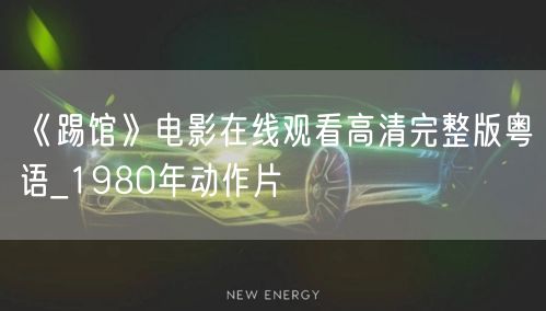 《踢馆》电影在线观看高清完整版粤语_1980年动作片