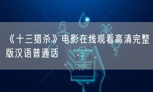 《十三猎杀》电影在线观看高清完整版汉语普通话