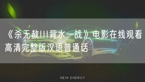 《杀无赦III背水一战》电影在线观看高清完整版汉语普通话