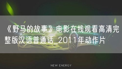 《野马的故事》电影在线观看高清完整版汉语普通话_2011年动作片